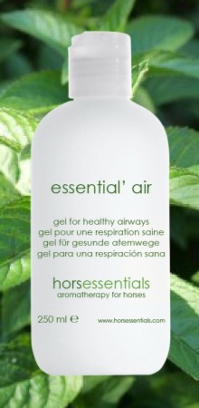 http://www.horsessentials.com/196-thickbox_default/essential-air-gel-respiration.jpg